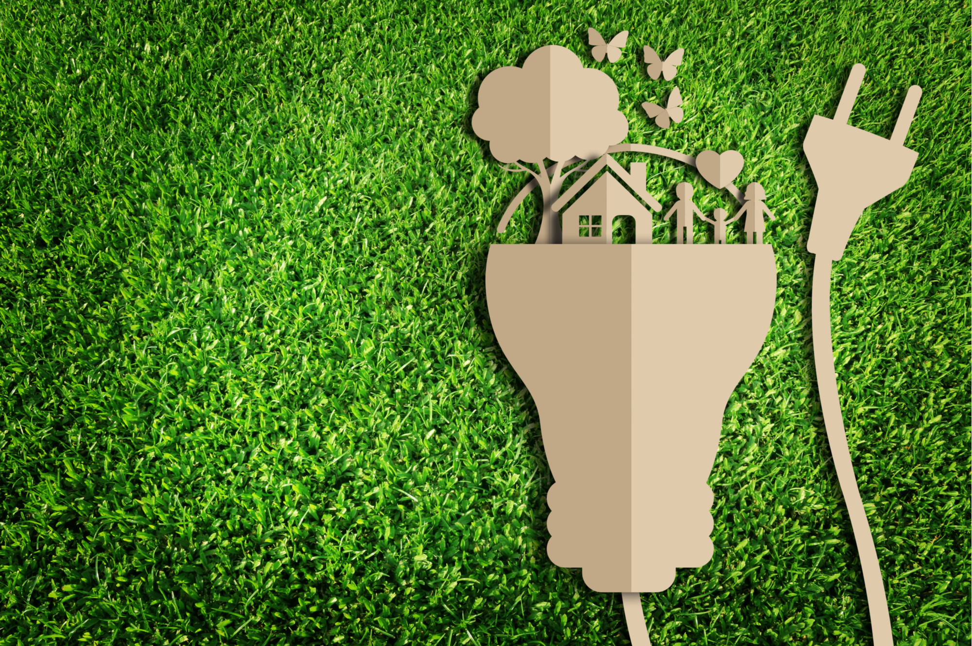 5 ways to make your house more eco-friendly